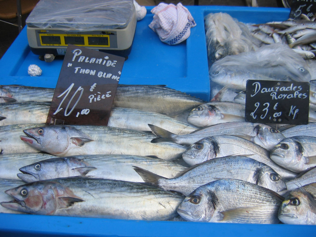 frankreich_antibes_fish-market